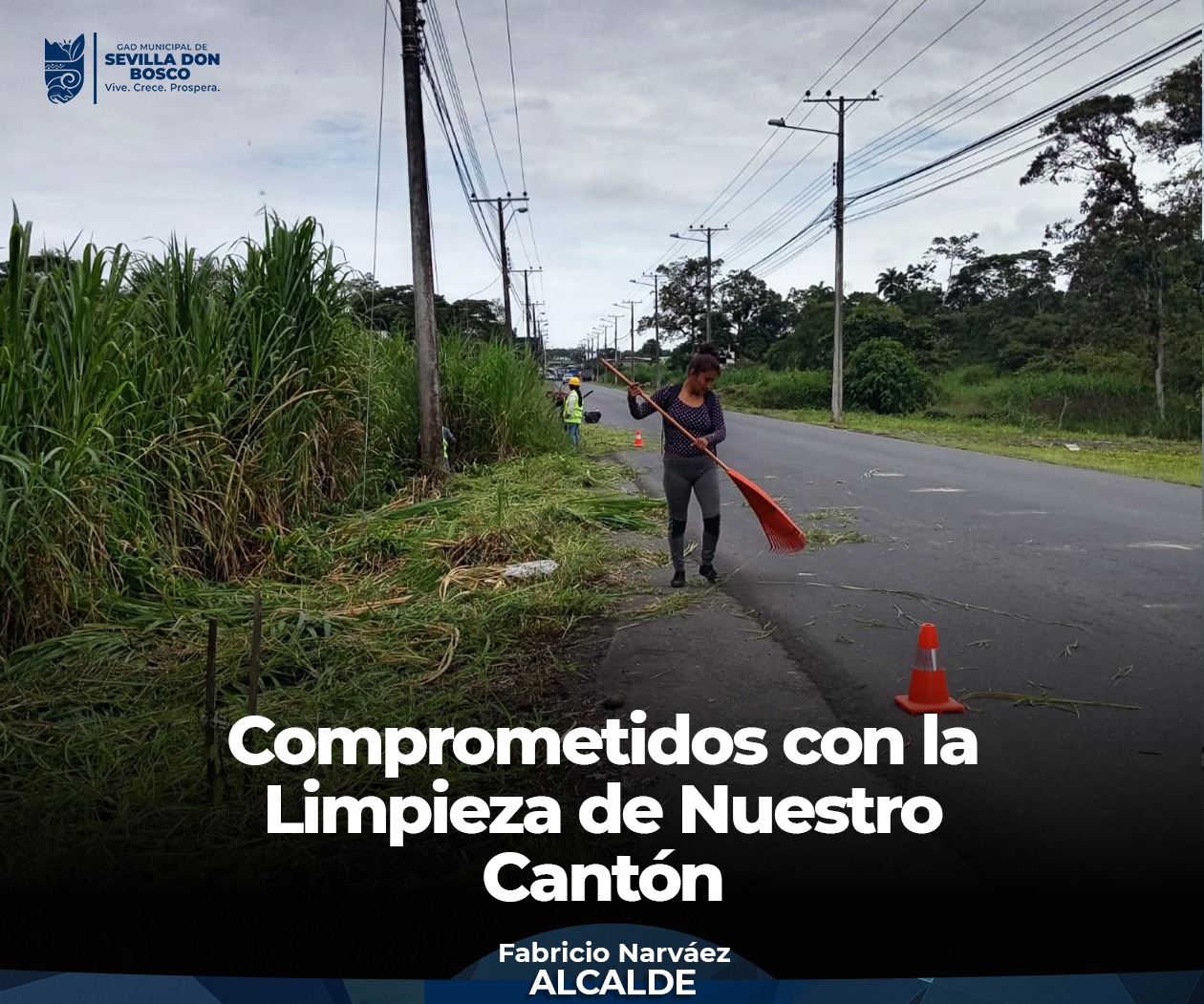 Sevilla Don Bosco Más Limpio Cada Día