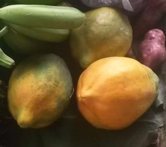 Papaya